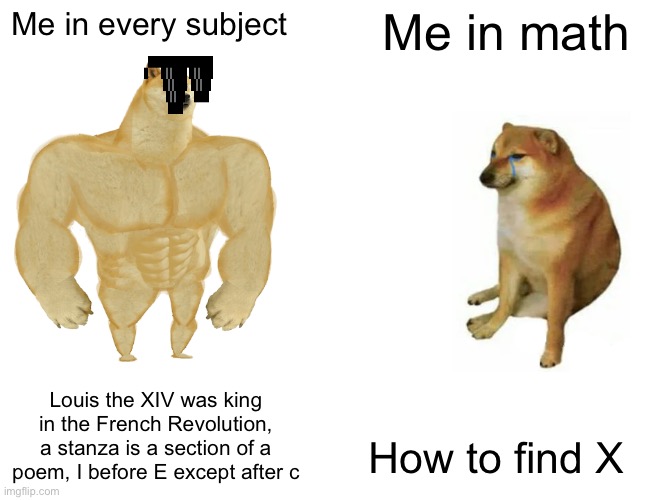 Buff Doge vs. Cheems Meme |  Me in every subject; Me in math; Louis the XIV was king in the French Revolution, a stanza is a section of a poem, I before E except after c; How to find X | image tagged in memes,buff doge vs cheems | made w/ Imgflip meme maker