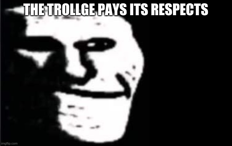 troll face but bruh | THE TROLLGE PAYS ITS RESPECTS | image tagged in troll face but bruh | made w/ Imgflip meme maker