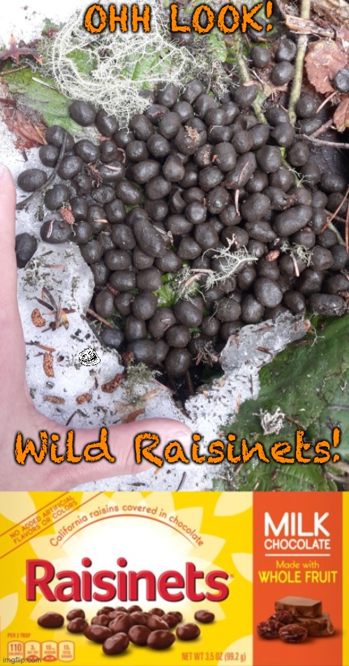 Ever try the wild ones? | OHH LOOK! Wild Raisinets! | image tagged in memes,funny memes,snacks,chocolate,troll face | made w/ Imgflip meme maker