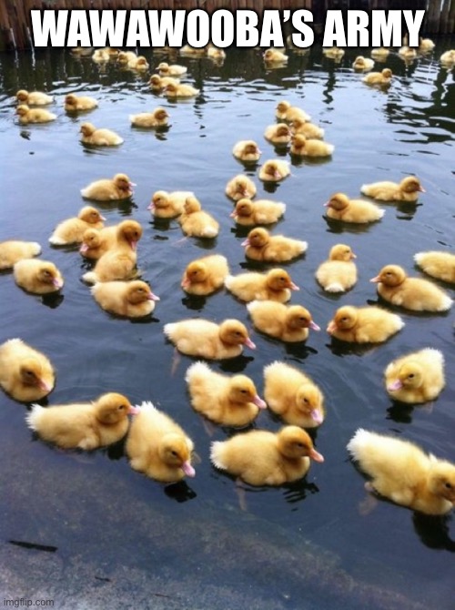 Ducklings  | WAWAWOOBA’S ARMY | image tagged in ducklings | made w/ Imgflip meme maker