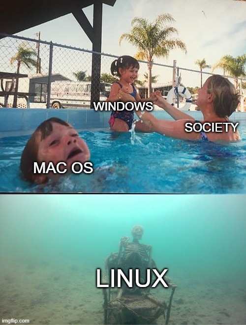 operating systems | WINDOWS; SOCIETY; MAC OS; LINUX | image tagged in mother ignoring kid drowning in a pool | made w/ Imgflip meme maker
