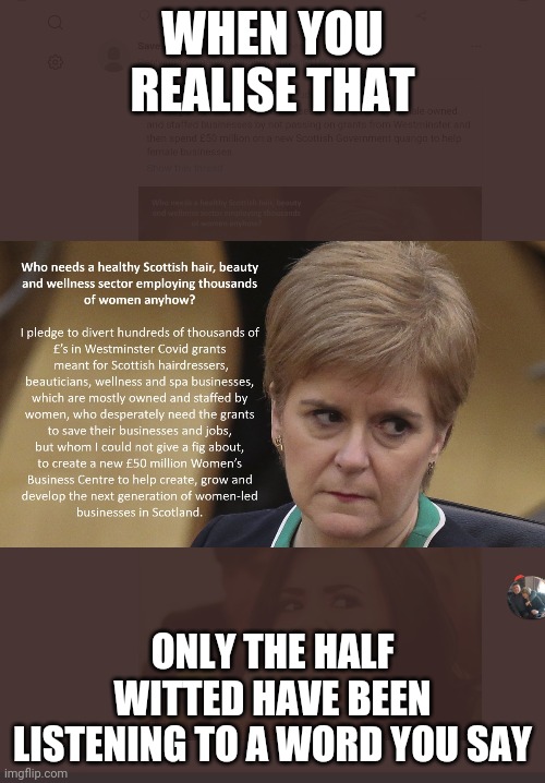 Mammy Nicola | WHEN YOU REALISE THAT; ONLY THE HALF WITTED HAVE BEEN LISTENING TO A WORD YOU SAY | image tagged in delusional | made w/ Imgflip meme maker