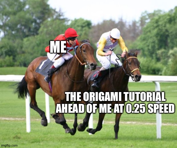 Rip me | ME; THE ORIGAMI TUTORIAL AHEAD OF ME AT 0.25 SPEED | image tagged in two horses racing | made w/ Imgflip meme maker