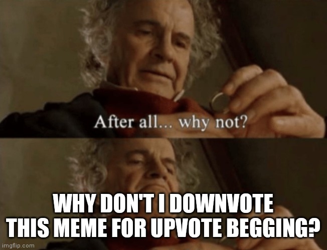 After all.. why not? | WHY DON'T I DOWNVOTE THIS MEME FOR UPVOTE BEGGING? | image tagged in after all why not | made w/ Imgflip meme maker