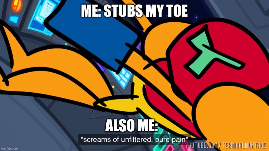 It’s true though | ME: STUBS MY TOE; ALSO ME: | image tagged in pain | made w/ Imgflip meme maker