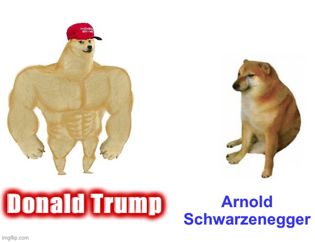 Get celebrities out of politics & the Republican Party. #MAGA | Donald Trump; Arnold Schwarzenegger | image tagged in maga buff doge vs cheems,maga,donald trump,arnold schwarzenegger,republican party,celebrities | made w/ Imgflip meme maker