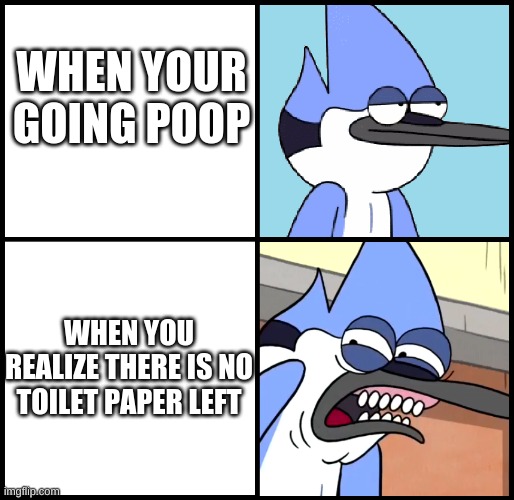 Mordecai disgusted | WHEN YOUR GOING POOP; WHEN YOU REALIZE THERE IS NO TOILET PAPER LEFT | image tagged in mordecai disgusted | made w/ Imgflip meme maker