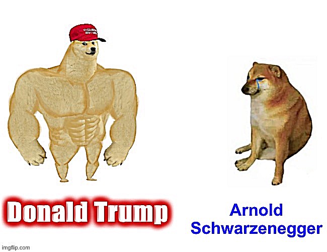 Roll safe and cringe about it | image tagged in donald trump,arnold schwarzenegger,buff doge vs cheems | made w/ Imgflip meme maker