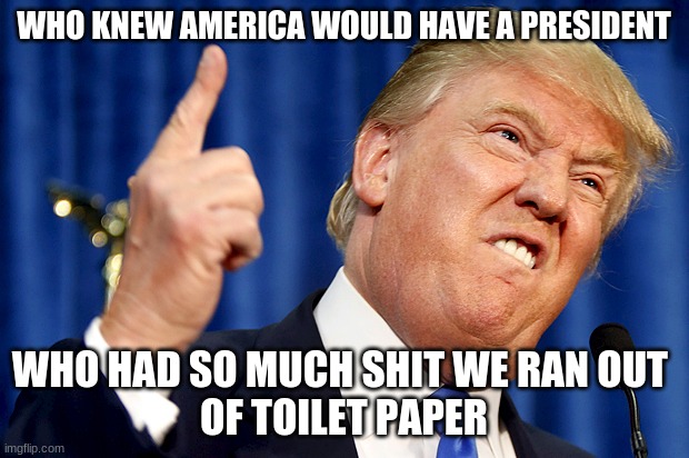found this funny meme on the web | WHO KNEW AMERICA WOULD HAVE A PRESIDENT; WHO HAD SO MUCH SHIT WE RAN OUT 
OF TOILET PAPER | image tagged in donald trump | made w/ Imgflip meme maker