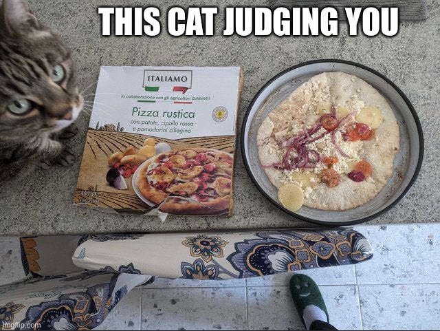 Judging you | THIS CAT JUDGING YOU | image tagged in cat,judging you,pizza crime | made w/ Imgflip meme maker