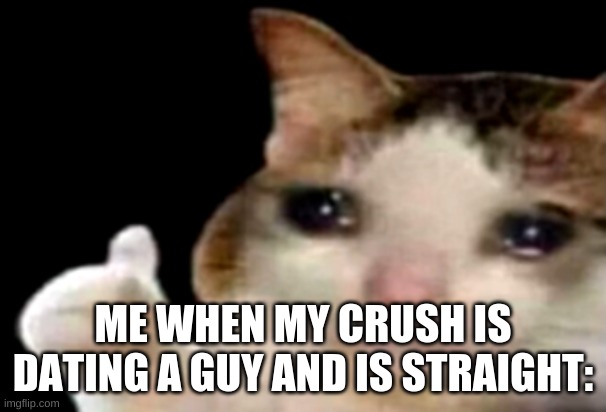 lmao | ME WHEN MY CRUSH IS DATING A GUY AND IS STRAIGHT: | image tagged in sad cat thumbs up | made w/ Imgflip meme maker