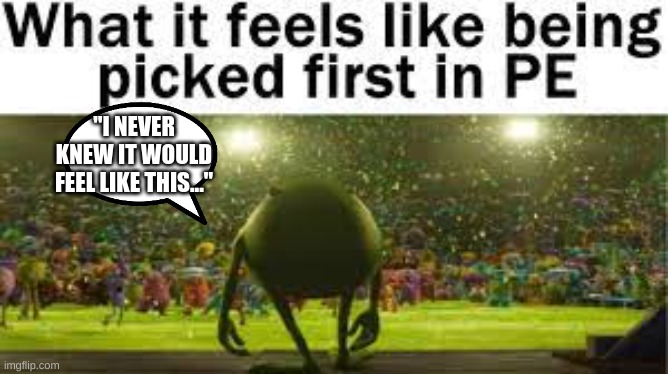 This is the feeling beigin picked first in PE | "I NEVER KNEW IT WOULD FEEL LIKE THIS..." | image tagged in pe | made w/ Imgflip meme maker