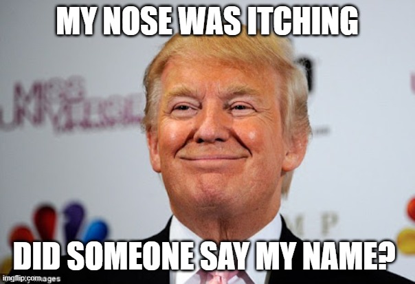 Donald trump approves | MY NOSE WAS ITCHING DID SOMEONE SAY MY NAME? | image tagged in donald trump approves | made w/ Imgflip meme maker