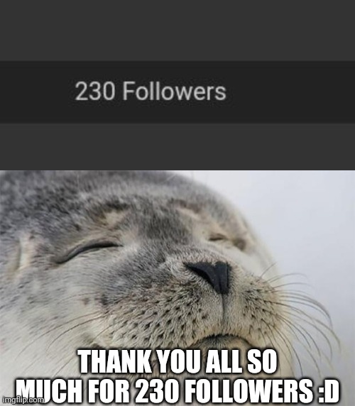 THANK YOU ALL SO MUCH FOR 230 FOLLOWERS :D | image tagged in memes,satisfied seal | made w/ Imgflip meme maker
