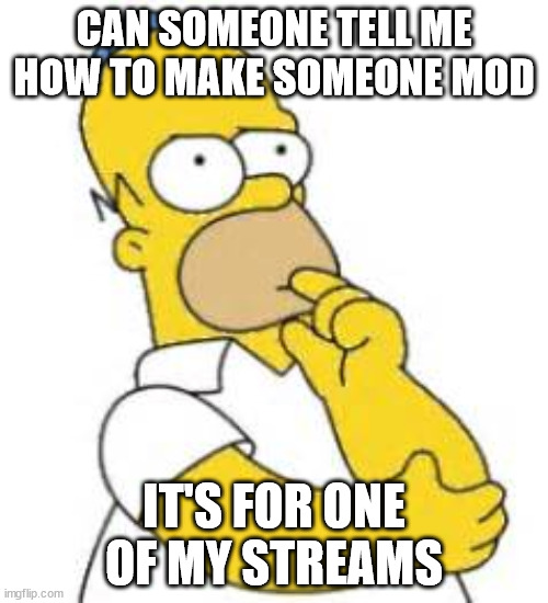 idk how | CAN SOMEONE TELL ME HOW TO MAKE SOMEONE MOD; IT'S FOR ONE OF MY STREAMS | image tagged in homer simpson hmmmm,mods | made w/ Imgflip meme maker