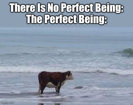  There Is No Perfect Being:
The Perfect Being: | made w/ Imgflip meme maker