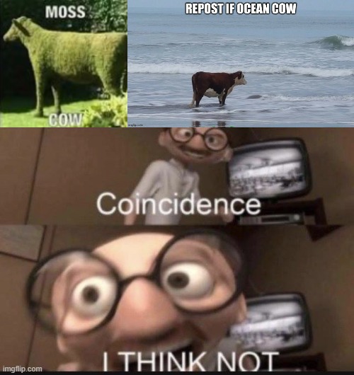 image tagged in moss cow,coincidence i think not | made w/ Imgflip meme maker