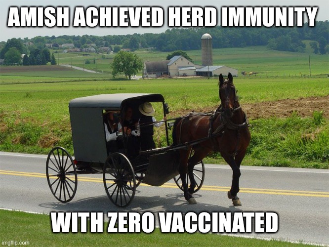 Amish Peeps | AMISH ACHIEVED HERD IMMUNITY WITH ZERO VACCINATED | image tagged in amish peeps | made w/ Imgflip meme maker