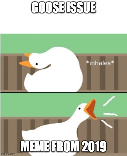 Untitled goose game honk | GOOSE ISSUE; MEME FROM 2019 | image tagged in untitled goose game honk | made w/ Imgflip meme maker