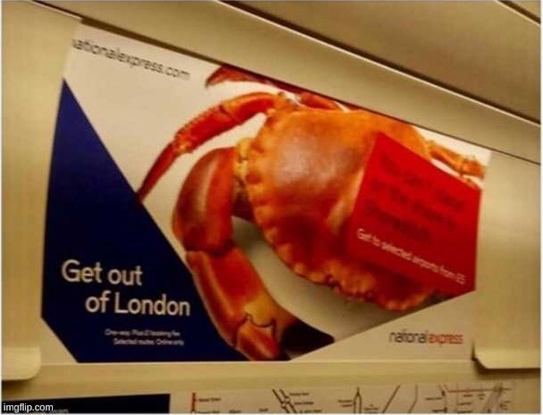 Get out of London crab | image tagged in get out of london crab | made w/ Imgflip meme maker