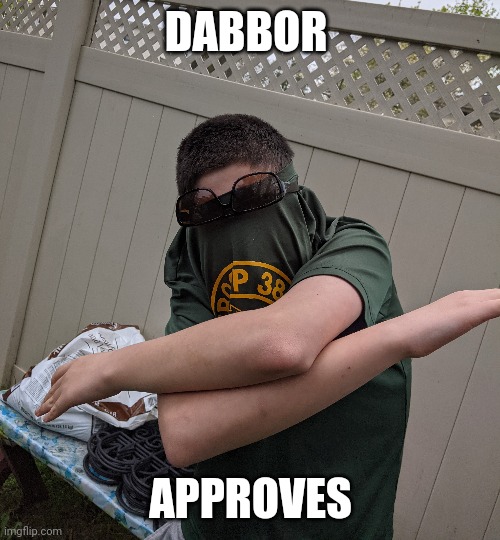 Dabbor approves Blank Meme Template