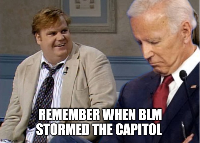 Remember Biden | REMEMBER WHEN BLM STORMED THE CAPITOL | image tagged in remember biden | made w/ Imgflip meme maker