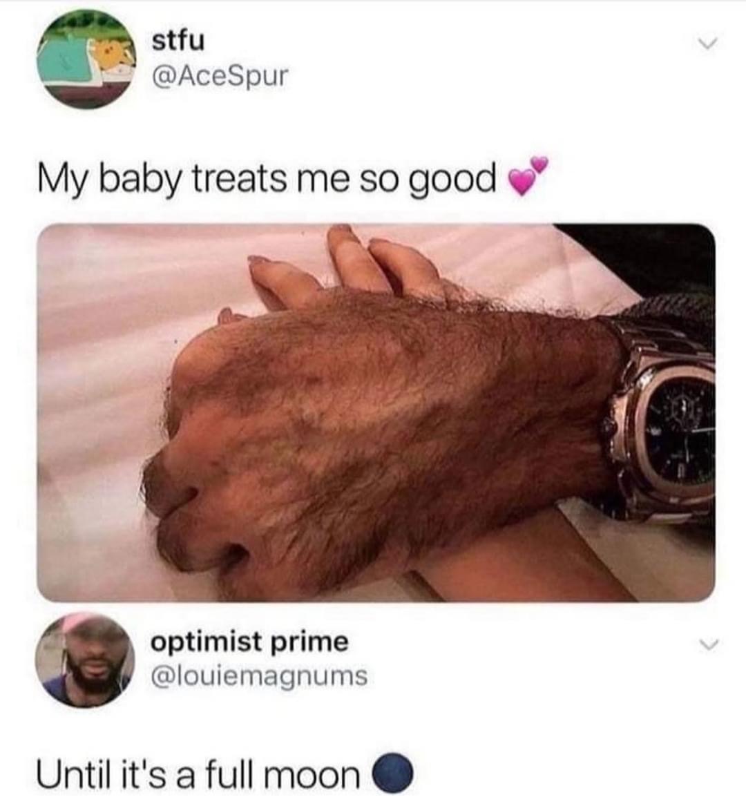 High Quality Werewolf love Blank Meme Template