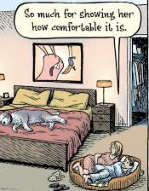 Oof | image tagged in comics/cartoons,funny,dogs,people,animals,bed | made w/ Imgflip meme maker