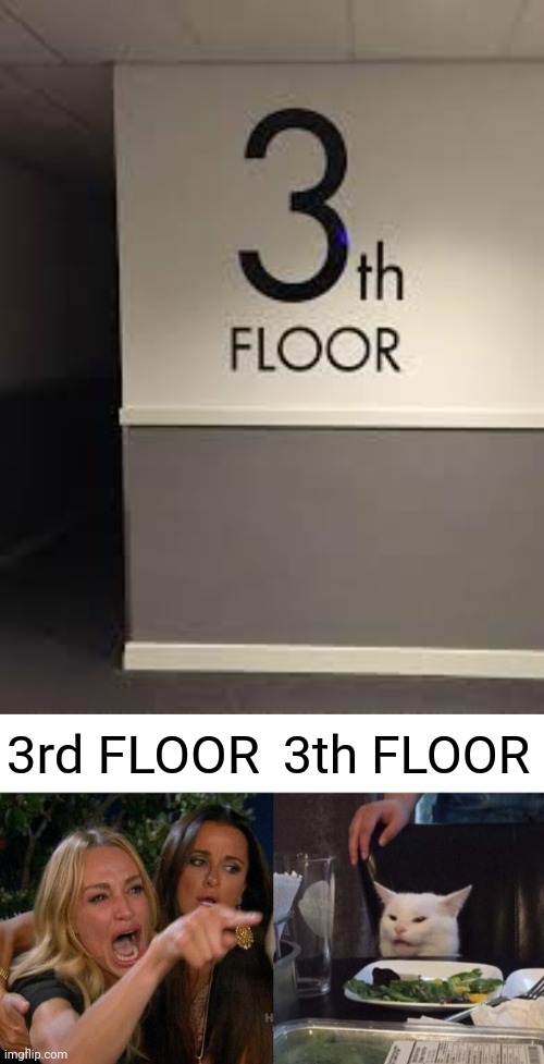 3th FLOOR | 3rd FLOOR; 3th FLOOR | image tagged in memes,woman yelling at cat,you had one job,meme,fails,fail | made w/ Imgflip meme maker