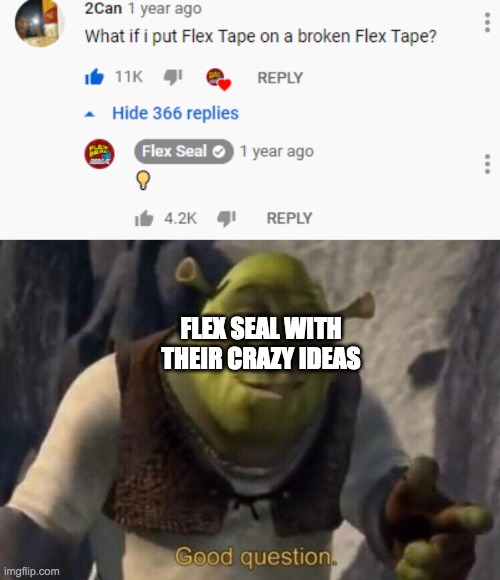 FLEX SEAL WITH THEIR CRAZY IDEAS | image tagged in shrek good question | made w/ Imgflip meme maker