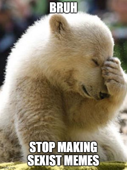 Facepalm Bear Meme | BRUH STOP MAKING SEXIST MEMES | image tagged in memes,facepalm bear | made w/ Imgflip meme maker