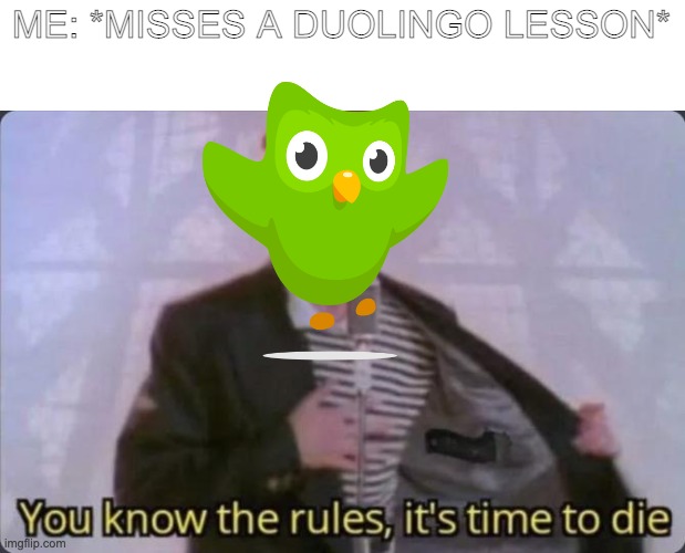 You know the rules, It's time to die :D | ME: *MISSES A DUOLINGO LESSON* | image tagged in you know the rules it's time to die | made w/ Imgflip meme maker