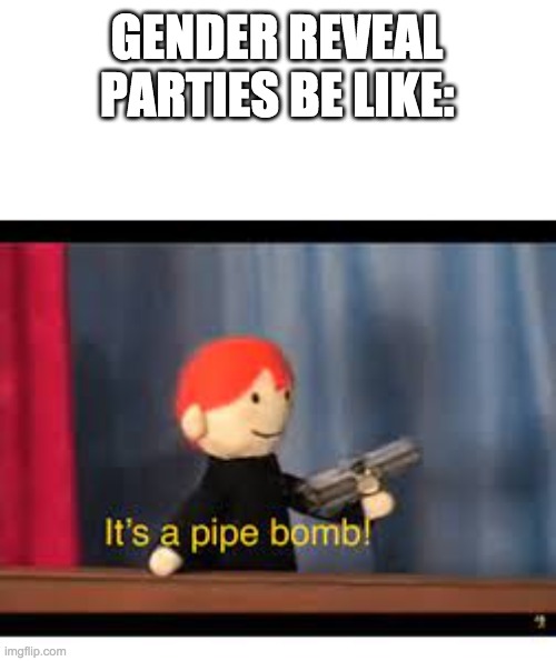 it's a pipe bomb! | GENDER REVEAL PARTIES BE LIKE: | image tagged in it's a pipe bomb | made w/ Imgflip meme maker