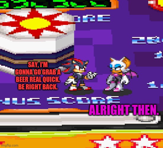 Some other Sonic Battle meme | SAY, I'M GONNA GO GRAB A BEER REAL QUICK. BE RIGHT BACK. ALRIGHT THEN. | image tagged in shadow the hedgehog,rouge the bat,sonic battle,shadouge | made w/ Imgflip meme maker