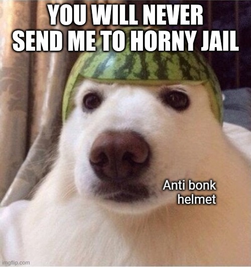 HAA | YOU WILL NEVER SEND ME TO HORNY JAIL | image tagged in memes,yes | made w/ Imgflip meme maker