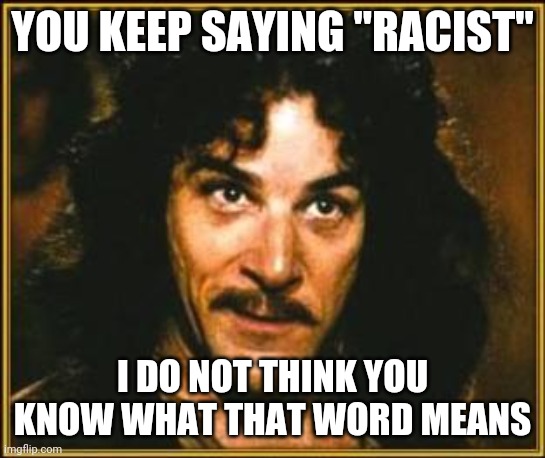 princess bride | YOU KEEP SAYING "RACIST" I DO NOT THINK YOU KNOW WHAT THAT WORD MEANS | image tagged in princess bride | made w/ Imgflip meme maker