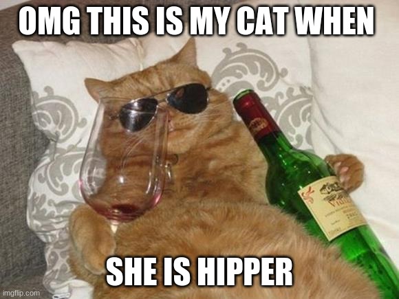 Funny Cat Birthday | OMG THIS IS MY CAT WHEN; SHE IS HIPPER | image tagged in funny cat birthday | made w/ Imgflip meme maker