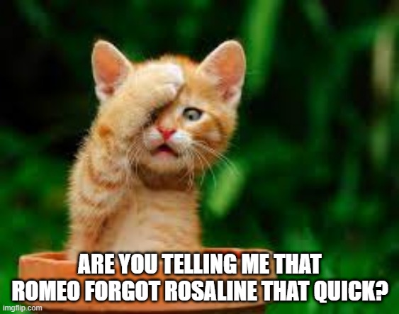 Romeo & Rosaline | ARE YOU TELLING ME THAT ROMEO FORGOT ROSALINE THAT QUICK? | image tagged in funny meme | made w/ Imgflip meme maker