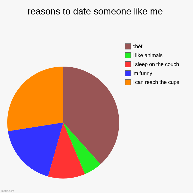 reasons to date someone like me | i can reach the cups, im funny, i sleep on the couch, i like animals, chéf | image tagged in charts,pie charts | made w/ Imgflip chart maker