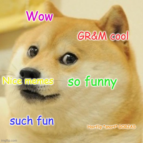 GR&M doge | Wow; GR&M cool; Nice memes; so funny; such fun; Hairflip *snort* GORJAS | image tagged in memes,doge | made w/ Imgflip meme maker