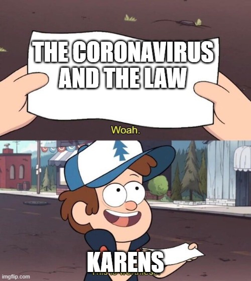 Gravity Falls Meme | THE CORONAVIRUS AND THE LAW; KARENS | image tagged in gravity falls meme | made w/ Imgflip meme maker
