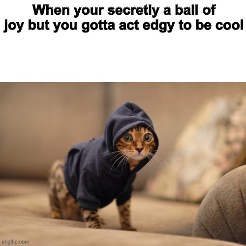 This’ll get me invited | When your secretly a ball of joy but you gotta act edgy to be cool | image tagged in memes,hoody cat | made w/ Imgflip meme maker