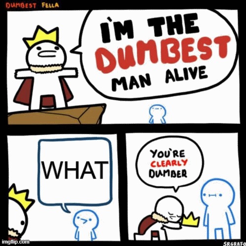 I'm the dumbest man alive | WHAT | image tagged in i'm the dumbest man alive | made w/ Imgflip meme maker