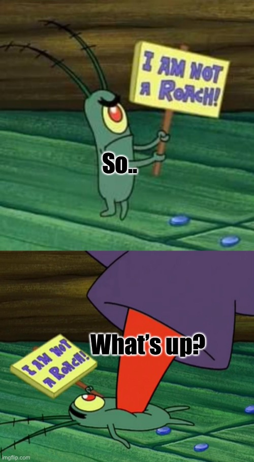 Plankton gets stepped on | So.. What’s up? | image tagged in plankton gets stepped on | made w/ Imgflip meme maker