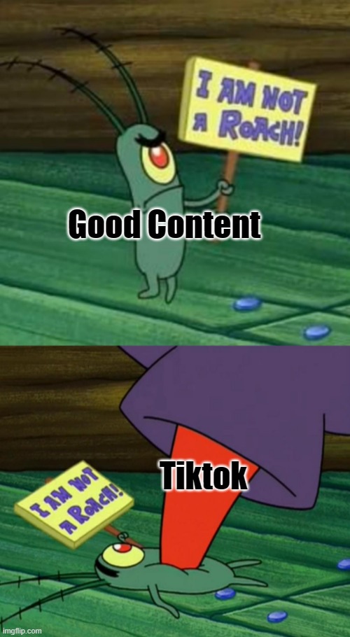 true | Good Content; Tiktok | image tagged in plankton gets stepped on,memes,true | made w/ Imgflip meme maker