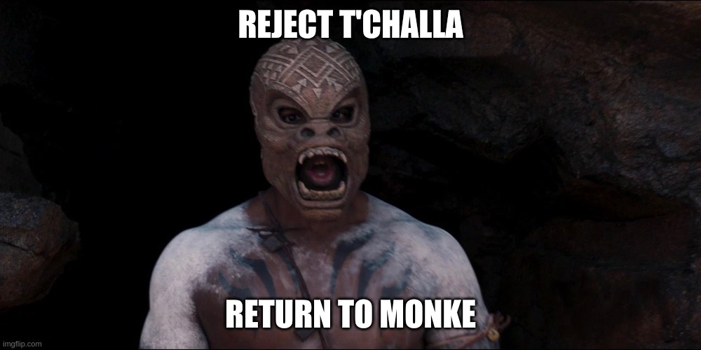 Reject T'challa return to monke | REJECT T'CHALLA; RETURN TO MONKE | image tagged in black panther,marvel | made w/ Imgflip meme maker