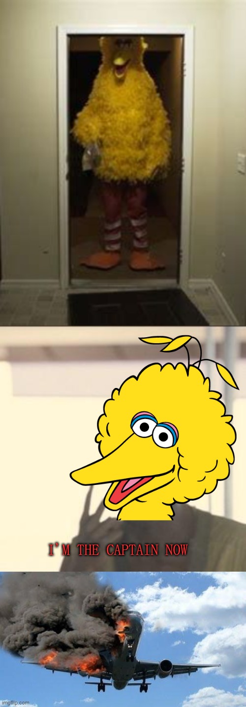 I'M THE CAPTAIN NOW | image tagged in big bird door,memes,look at me,plane crash | made w/ Imgflip meme maker