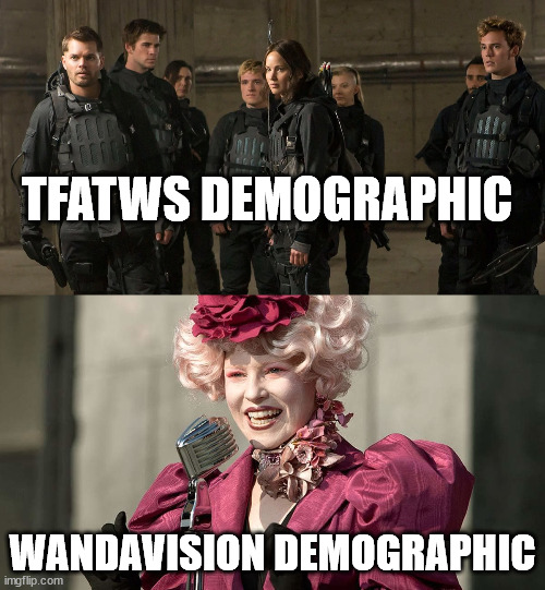 MRW my friends say that WandaVision is so much better than The Falcon and the Winter Soldier | TFATWS DEMOGRAPHIC; WANDAVISION DEMOGRAPHIC | image tagged in hunger games - katniss vs effie | made w/ Imgflip meme maker