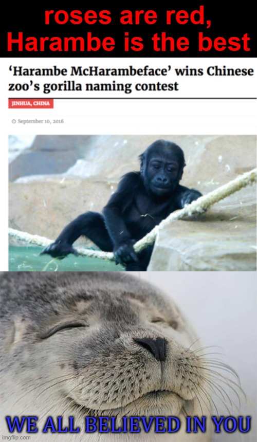We all believed in him | roses are red, Harambe is the best; WE ALL BELIEVED IN YOU | image tagged in memes,satisfied seal,harambe,roses are red | made w/ Imgflip meme maker