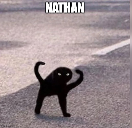 I gave it a name. | NATHAN | image tagged in cursed cat | made w/ Imgflip meme maker